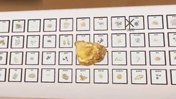 中药电子标本馆